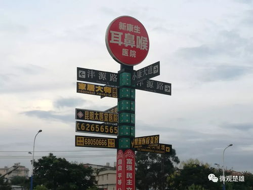 細節鑄就文明 從海南路牌廣告看城市風貌的精細化治理